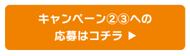 キャンペーン2･3応募受け付けフォーム